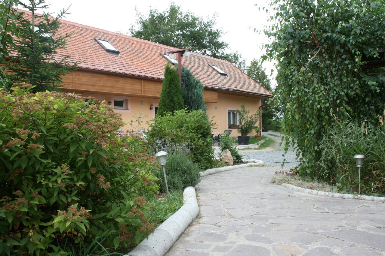 Penzion Hugo Sedlec-Prcice Экстерьер фото